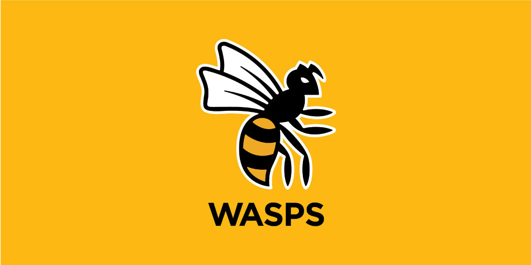 Wasps vs Newcastle Falcons Live Stream Online Link 2